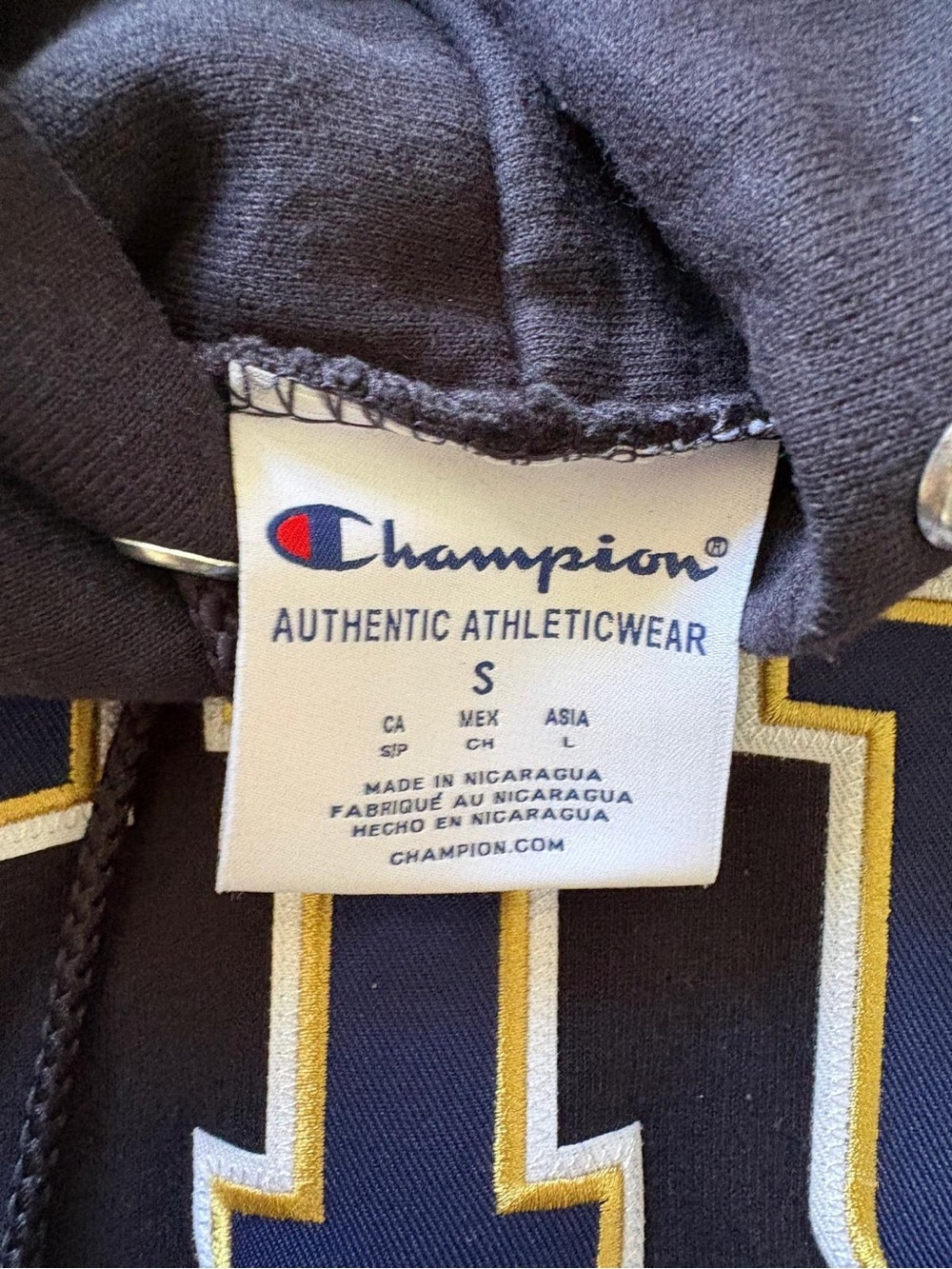 Champion Florida International University Panthers Hoodie Mens S Vintage FIU - Picture 4 of 5